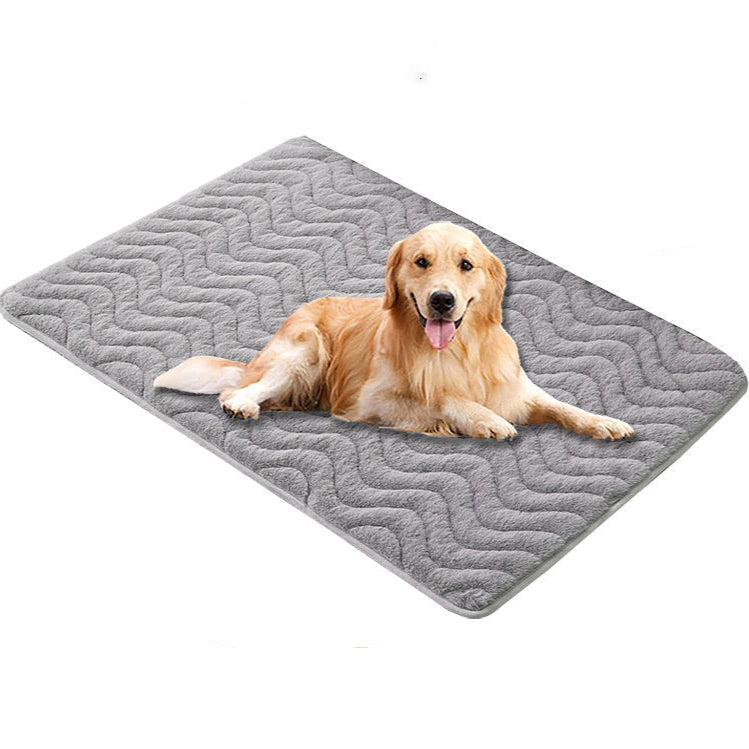 Thickened Dog Mat