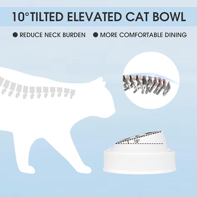 Tilted Cat Food Bowl