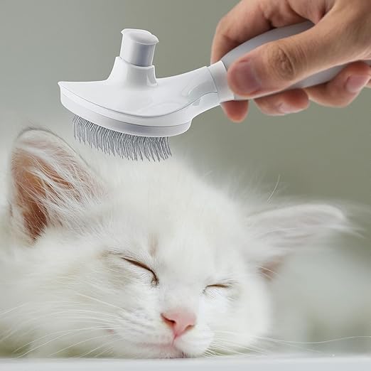 Self Cleaning Slicker Brush