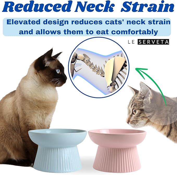 2 Pack Slow Feeder Cat Bowl