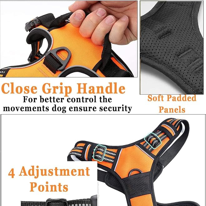 Adjustable Dog Harness Vest