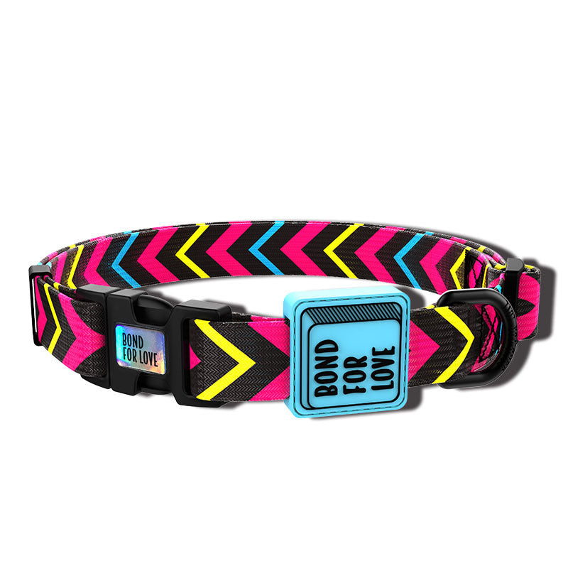 Colorful Dog Collars