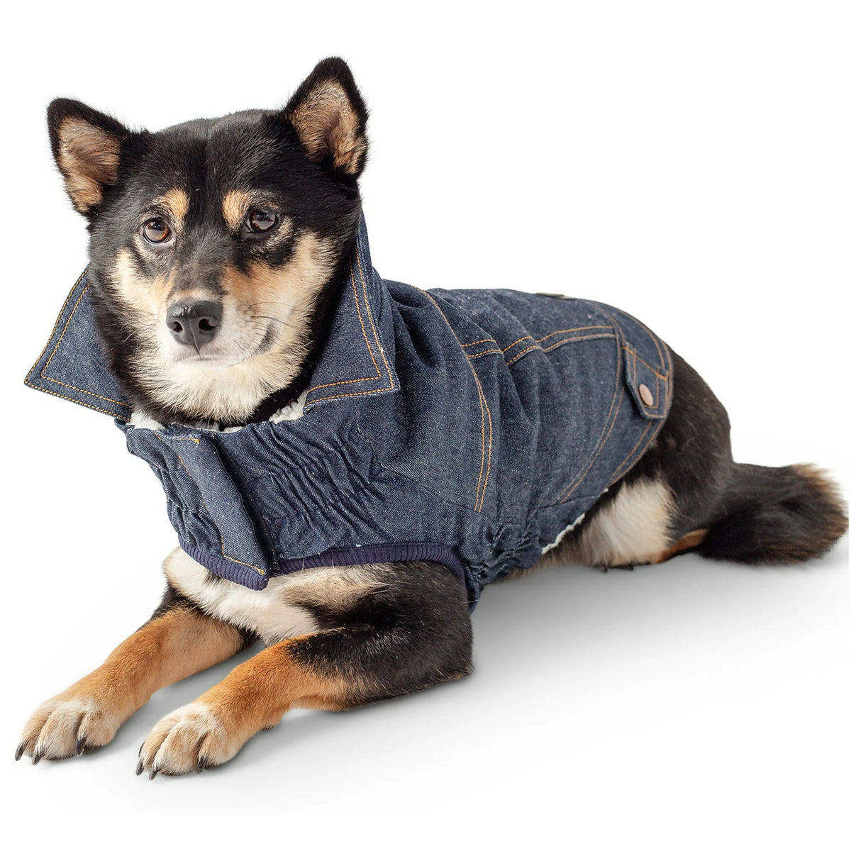 Elasto-Fit Denim Dog Jacket