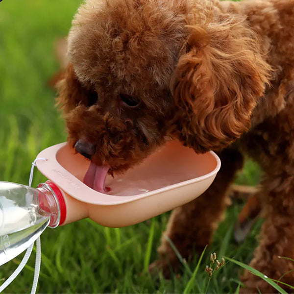 Outdoor Pet Water Bowl