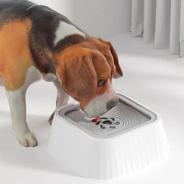 Floating Pet Water Bowl