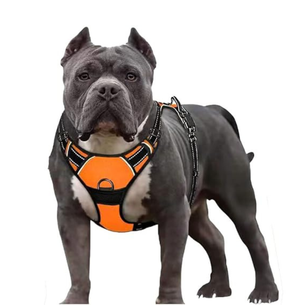 Adjustable Dog Harness Vest
