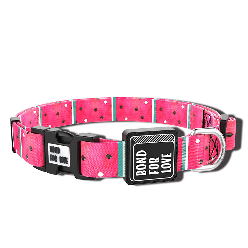 Colorful Dog Collars