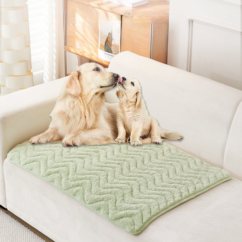 Thickened Dog Mat