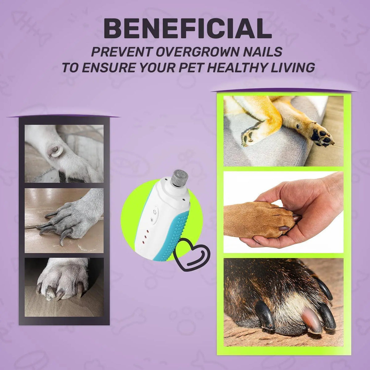 Dog Nail Grinder